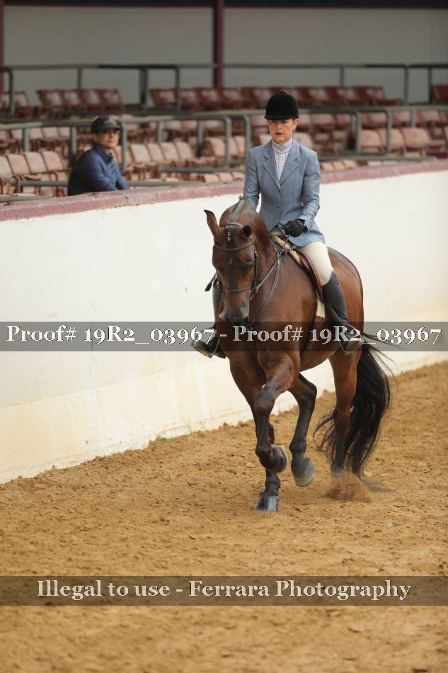 Proof 19R2_03967