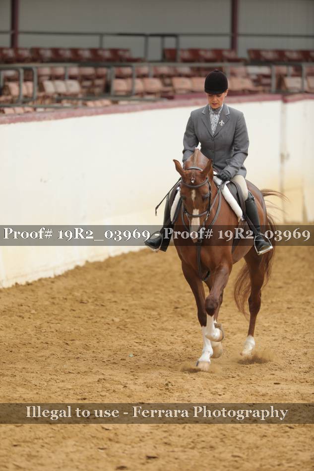 Proof 19R2_03969
