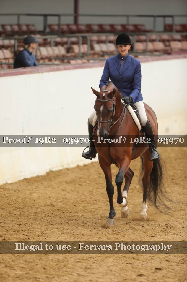 Proof 19R2_03970
