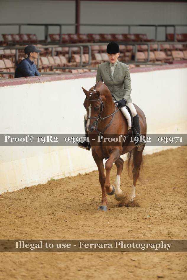 Proof 19R2_03971