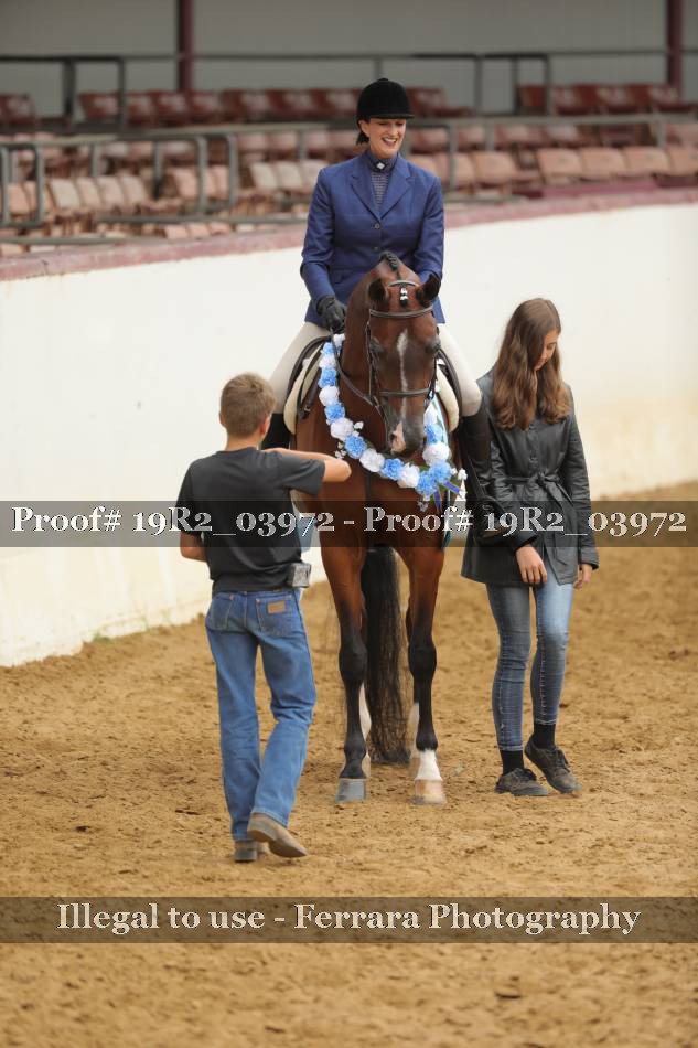 Proof 19R2_03972