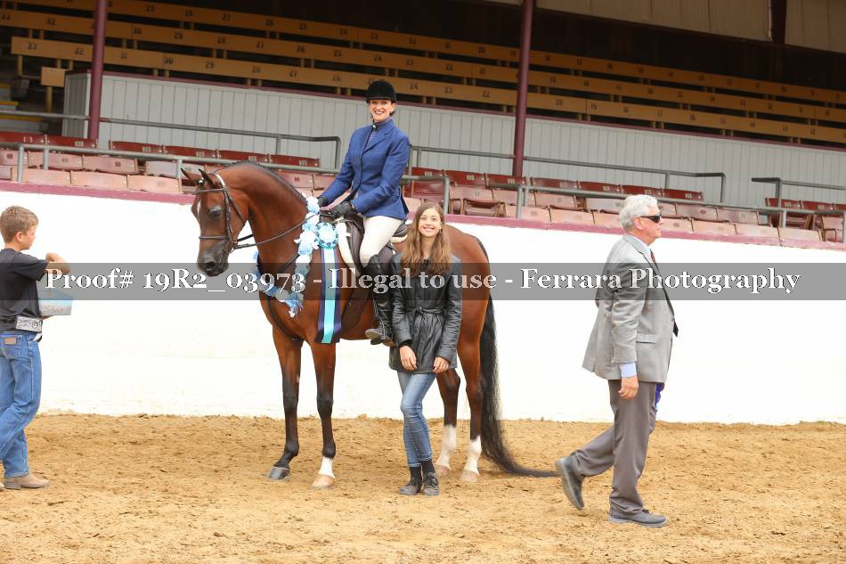 Proof 19R2_03973