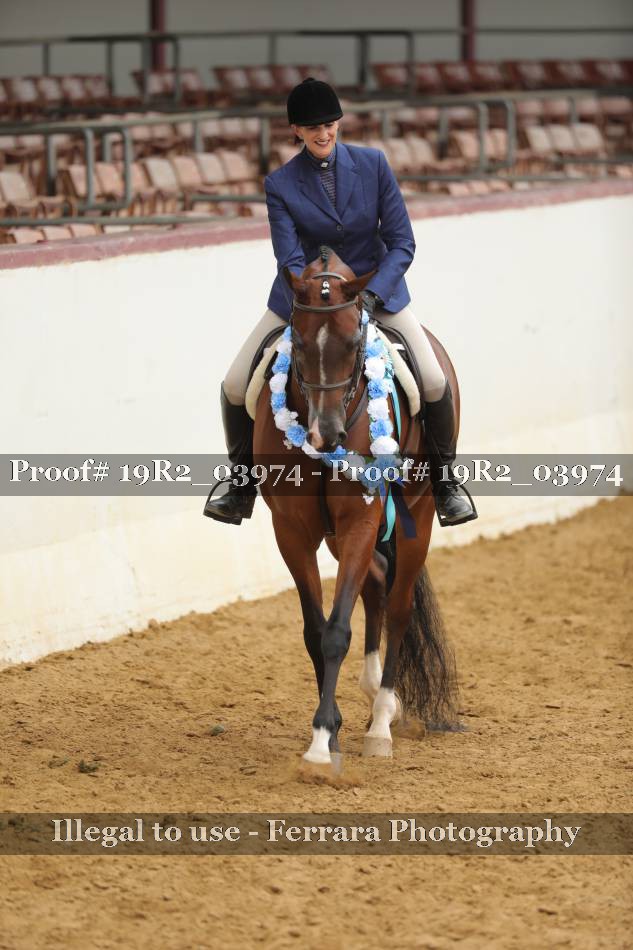Proof 19R2_03974