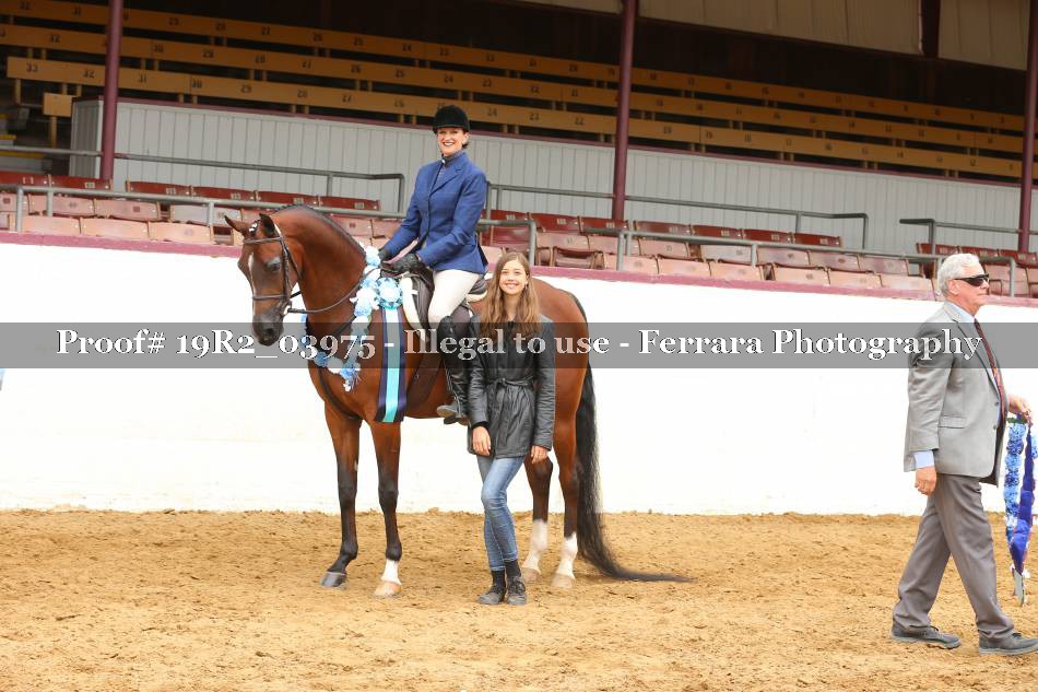 Proof 19R2_03975