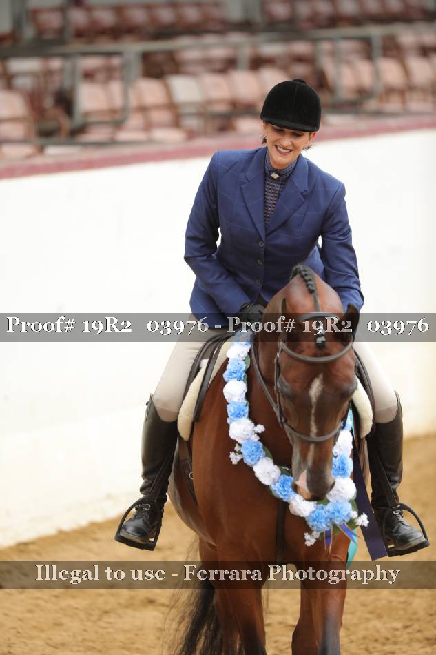 Proof 19R2_03976