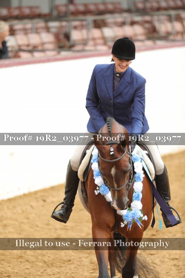 Proof 19R2_03977