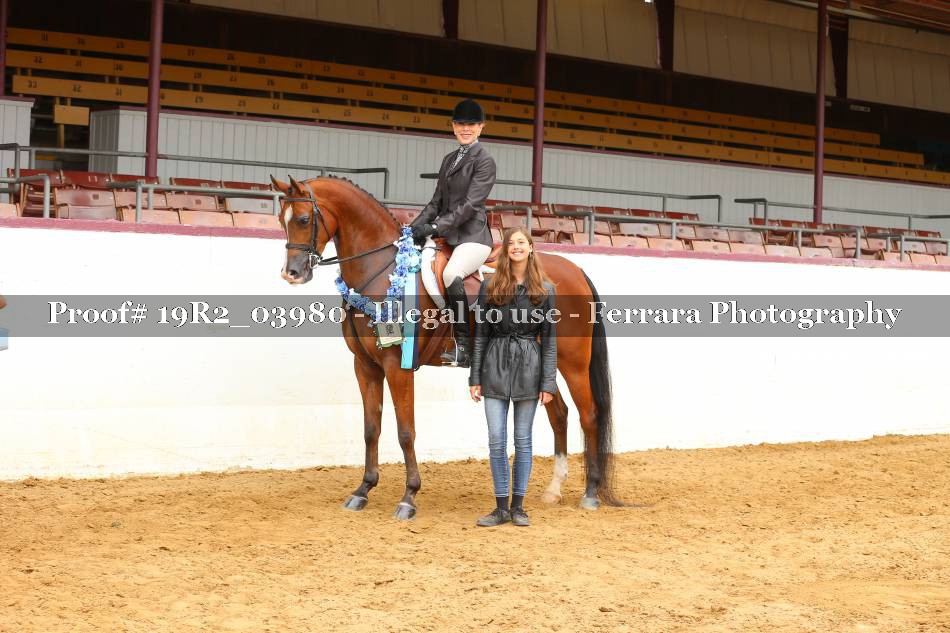 Proof 19R2_03980