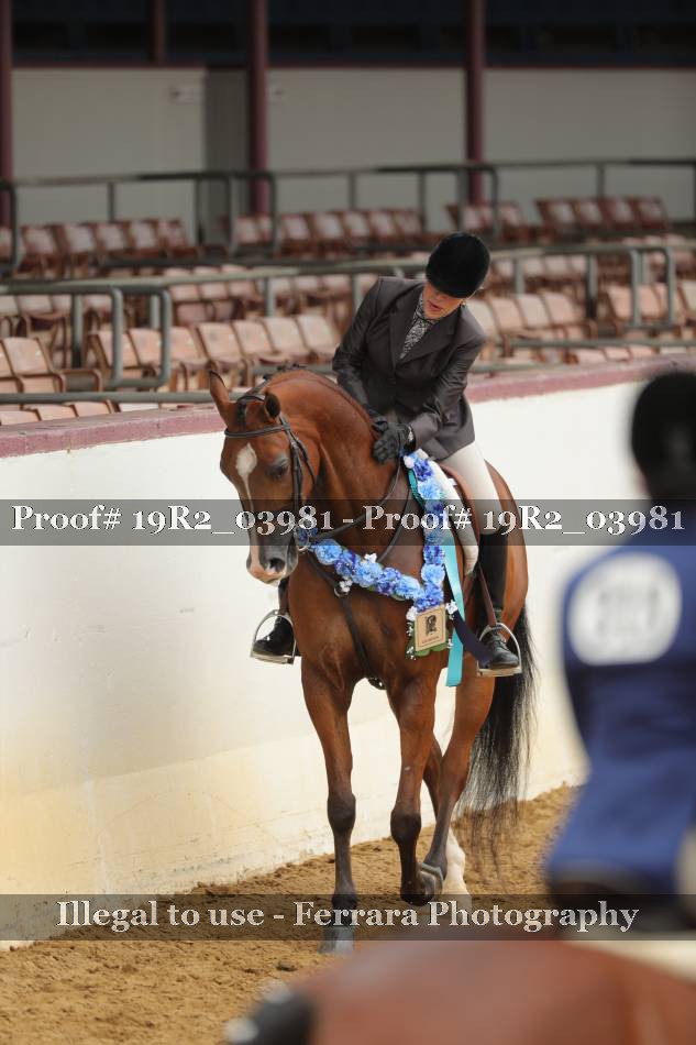 Proof 19R2_03981