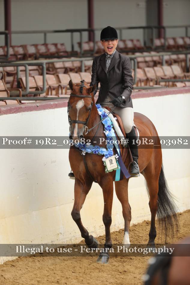 Proof 19R2_03982