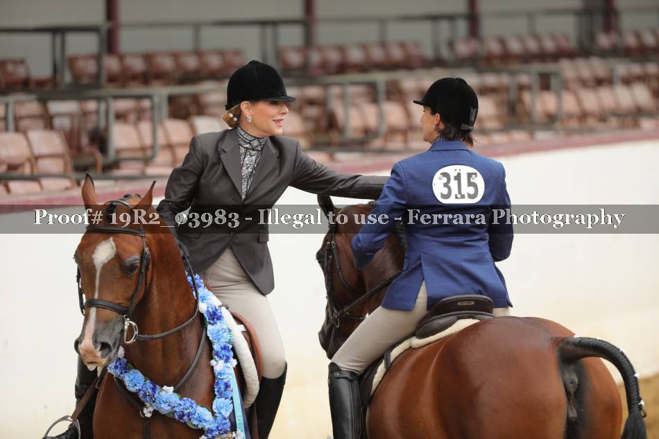 Proof 19R2_03983