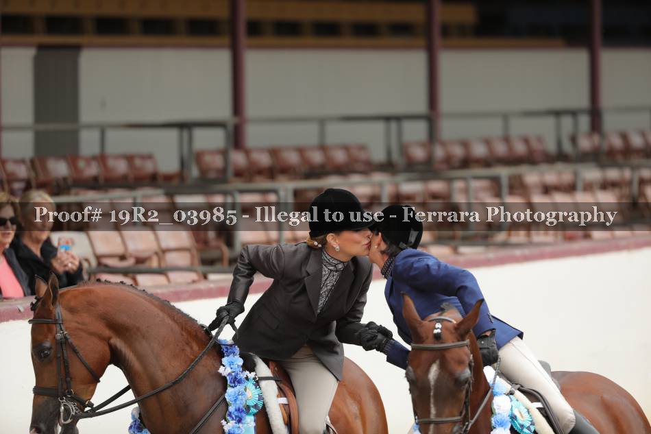 Proof 19R2_03985