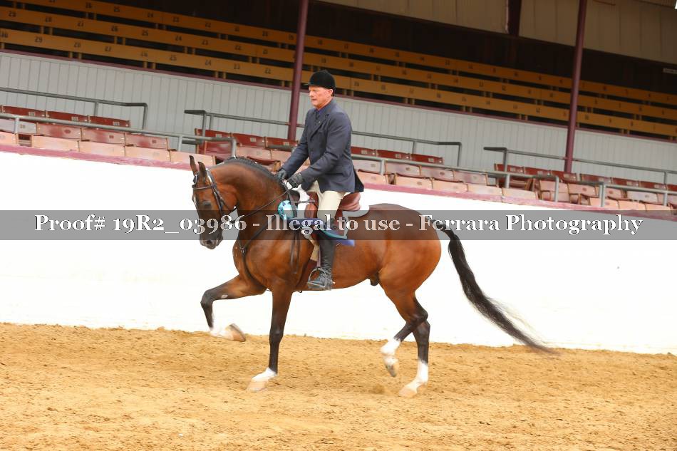 Proof 19R2_03986