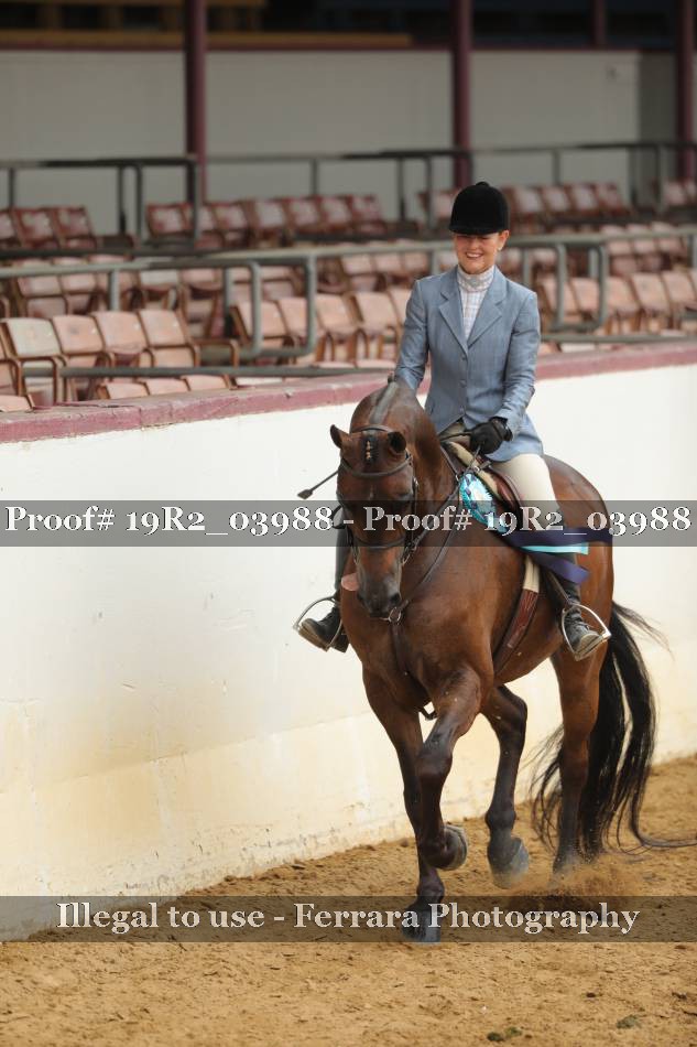 Proof 19R2_03988
