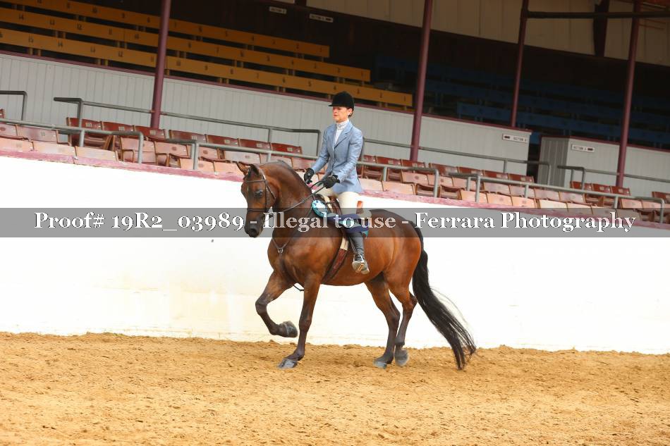 Proof 19R2_03989