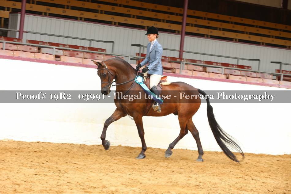Proof 19R2_03991