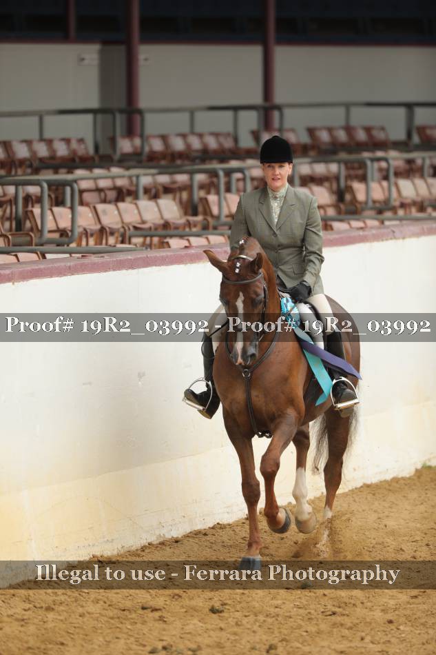 Proof 19R2_03992