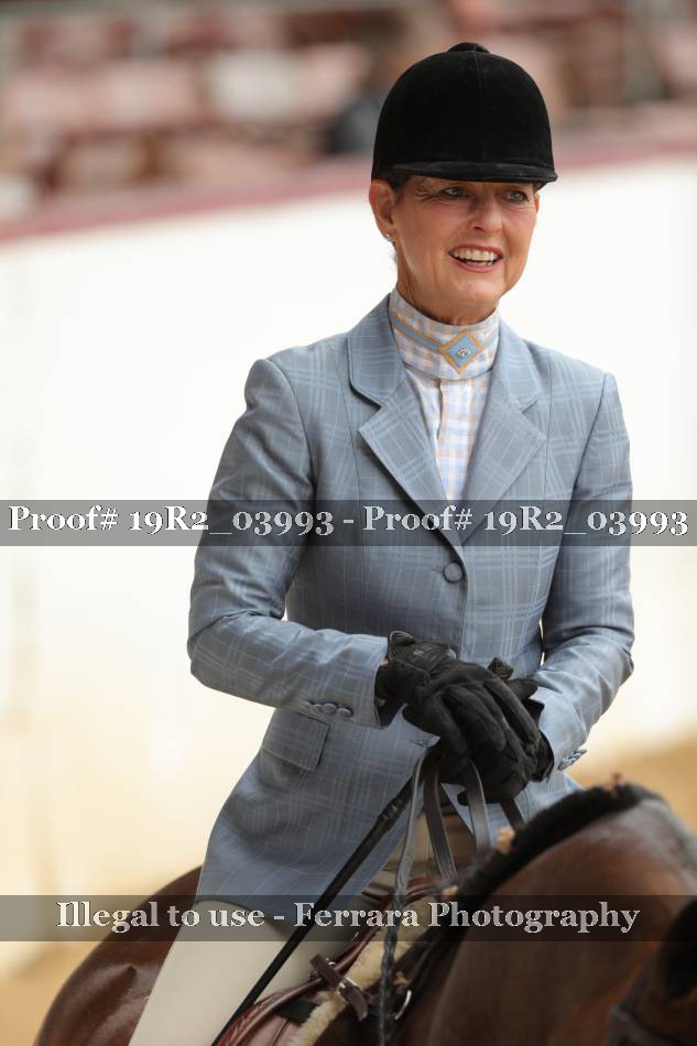 Proof 19R2_03993