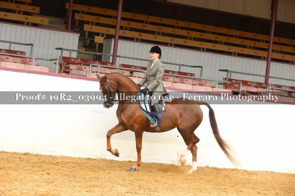 Proof 19R2_03994