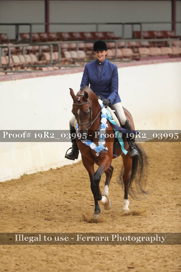 Proof 19R2_03995