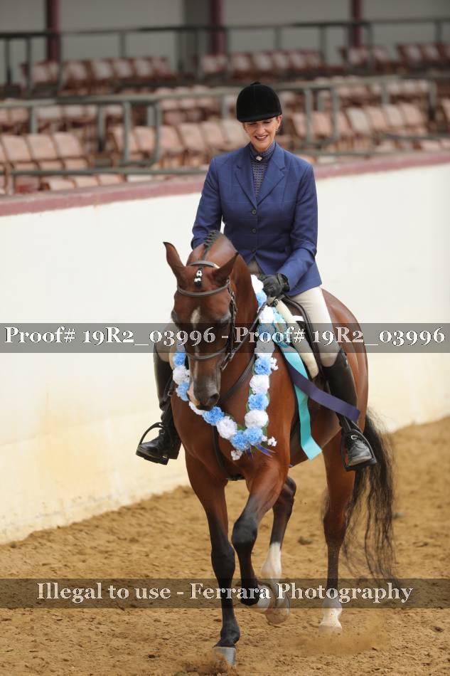 Proof 19R2_03996