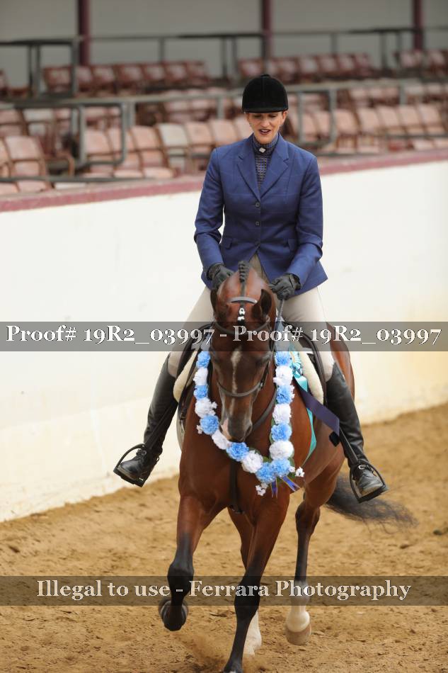 Proof 19R2_03997