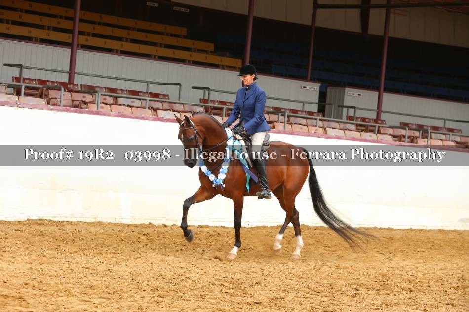 Proof 19R2_03998