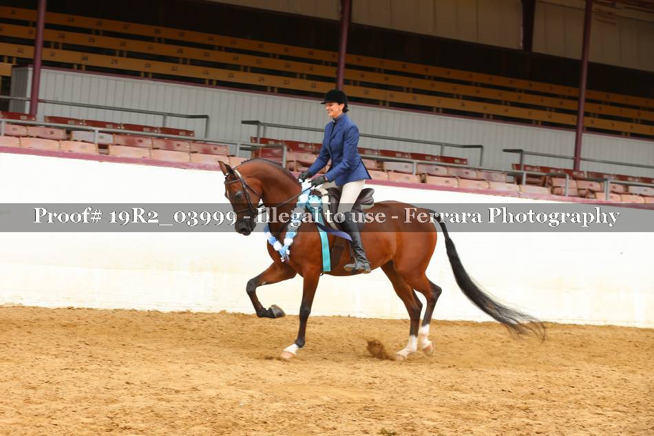 Proof 19R2_03999