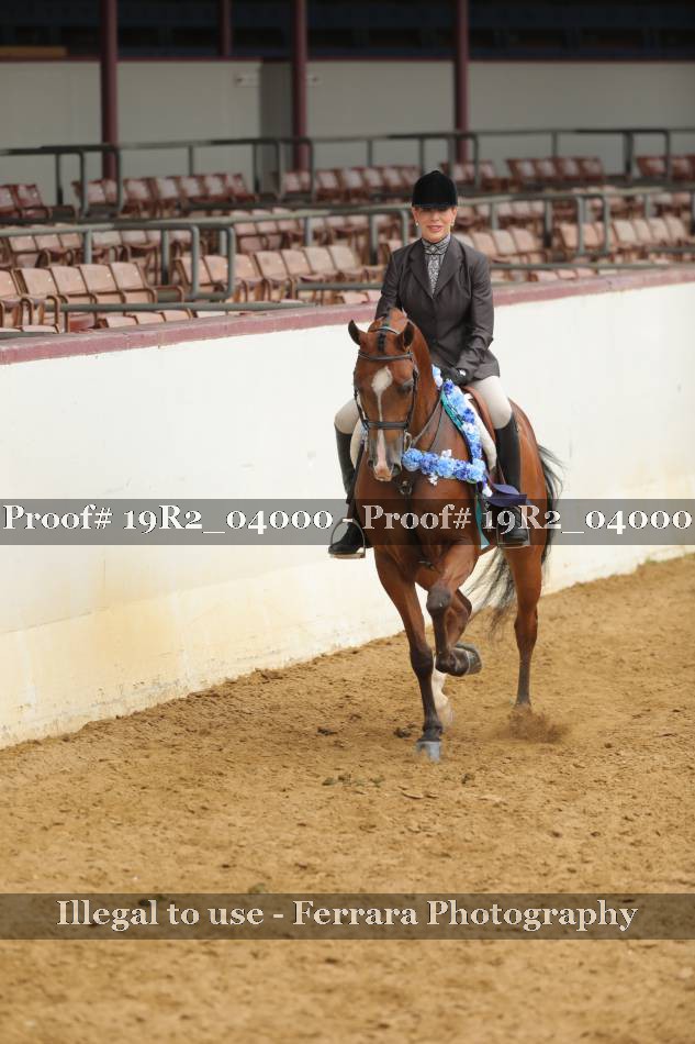 Proof 19R2_04000