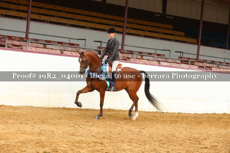 Proof 19R2_04001