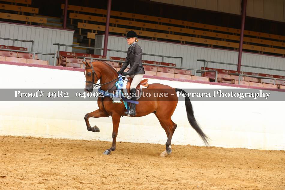 Proof 19R2_04002