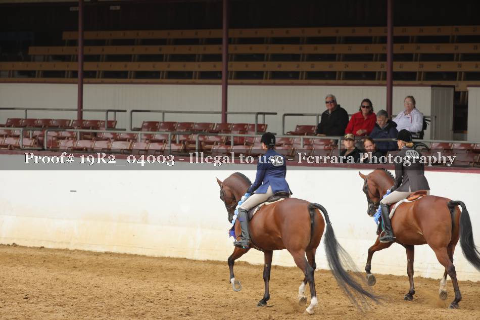 Proof 19R2_04003