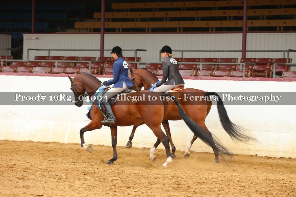 Proof 19R2_04004