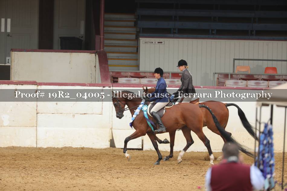 Proof 19R2_04005