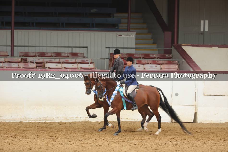 Proof 19R2_04006