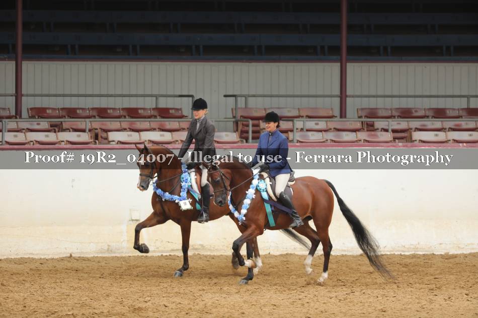 Proof 19R2_04007