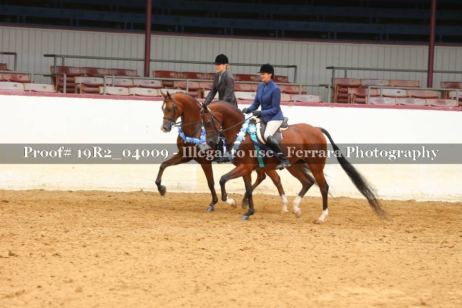 Proof 19R2_04009