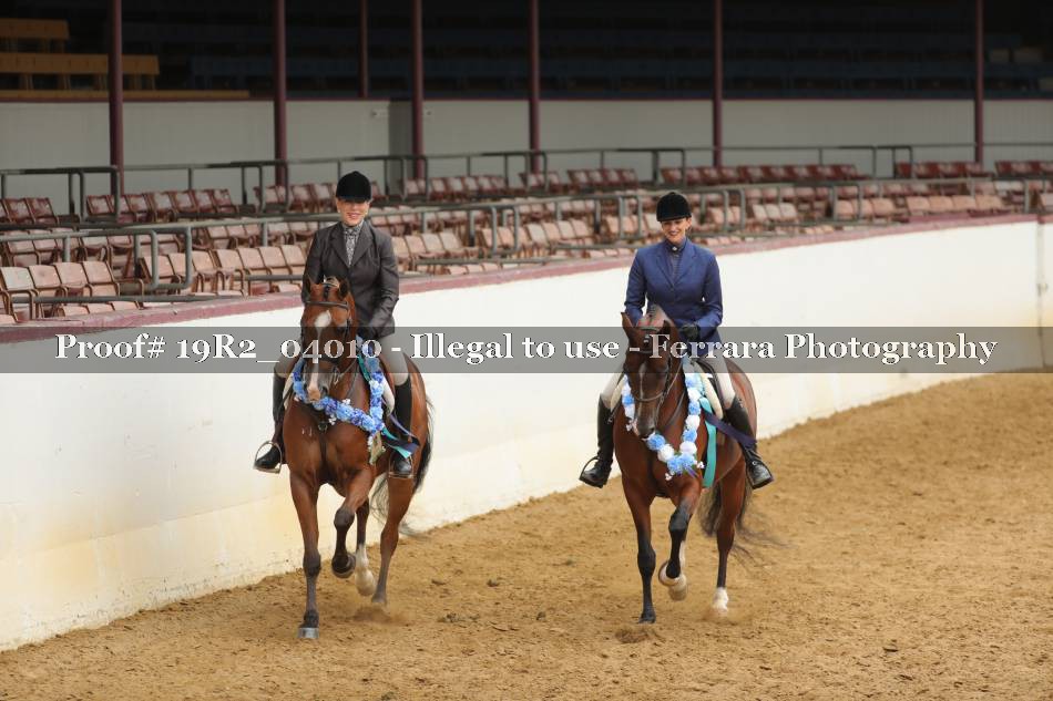 Proof 19R2_04010