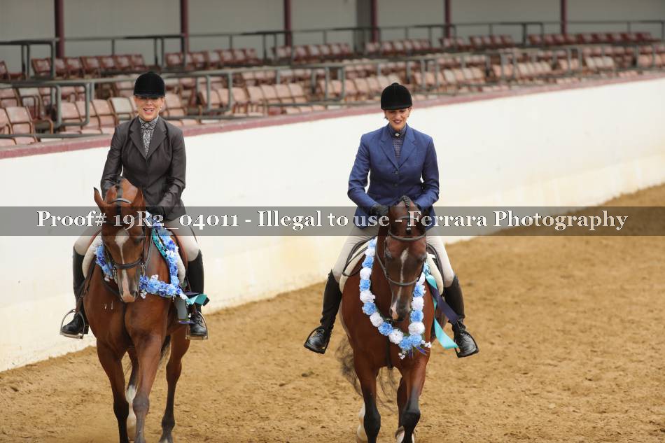 Proof 19R2_04011