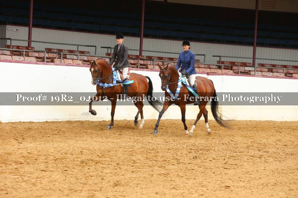Proof 19R2_04012