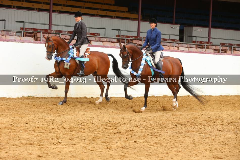 Proof 19R2_04013