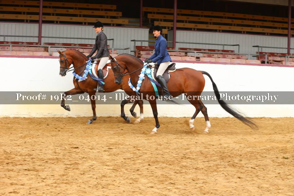 Proof 19R2_04014