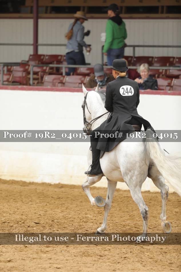 Proof 19R2_04015