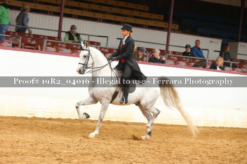 Proof 19R2_04016