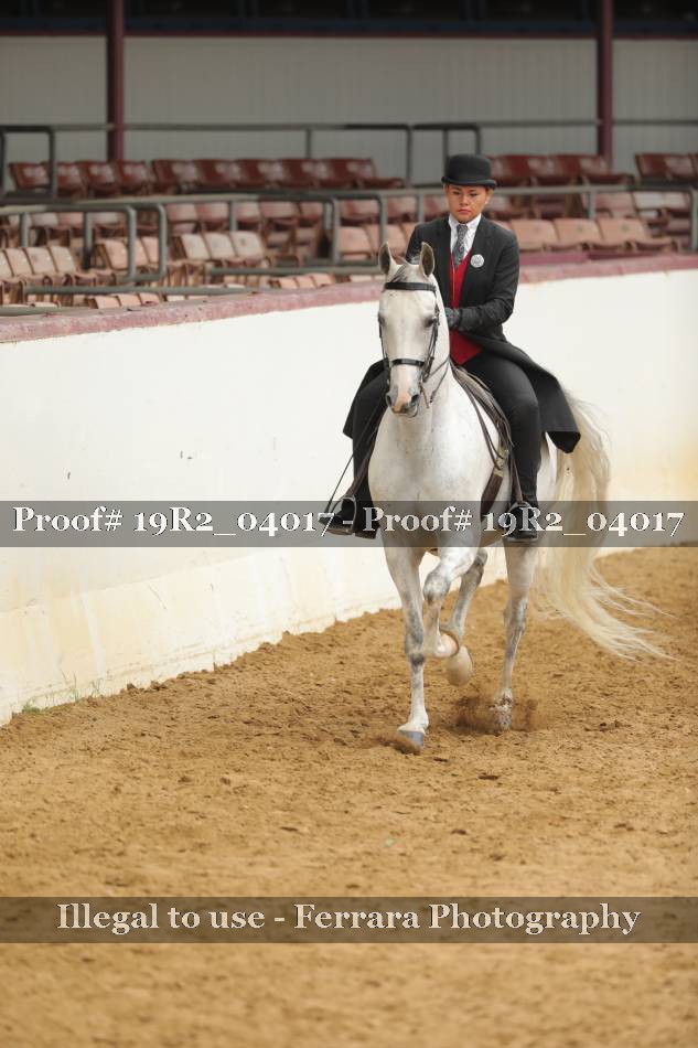 Proof 19R2_04017