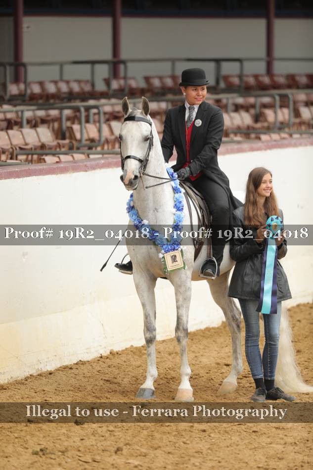 Proof 19R2_04018