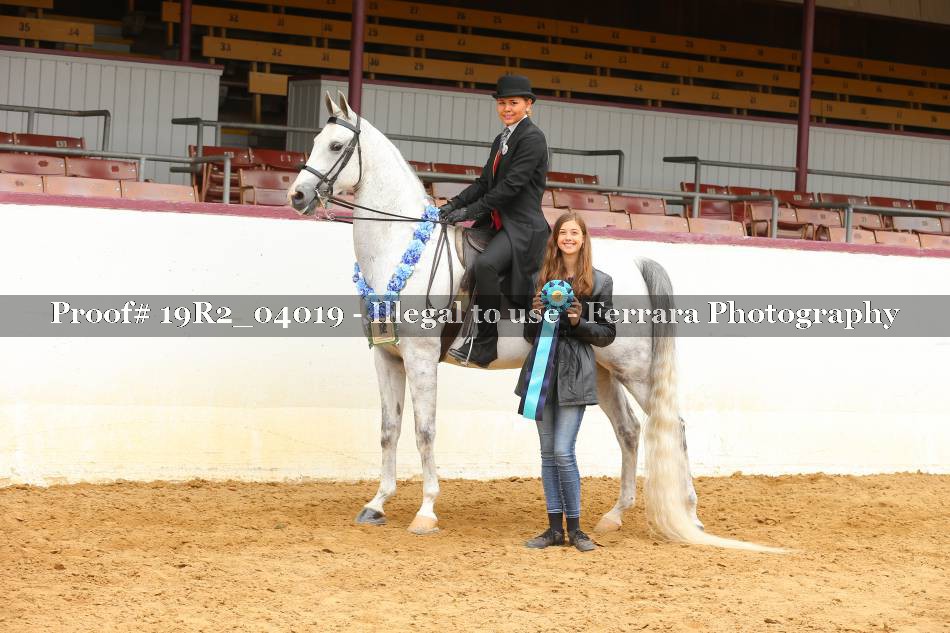 Proof 19R2_04019