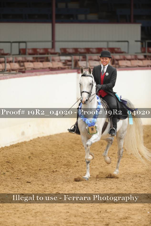 Proof 19R2_04020