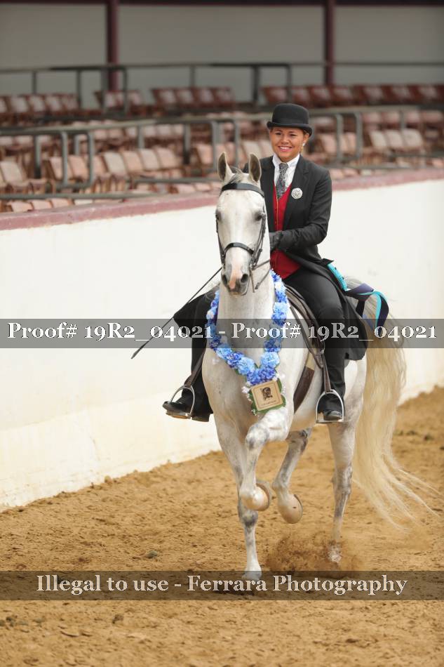 Proof 19R2_04021