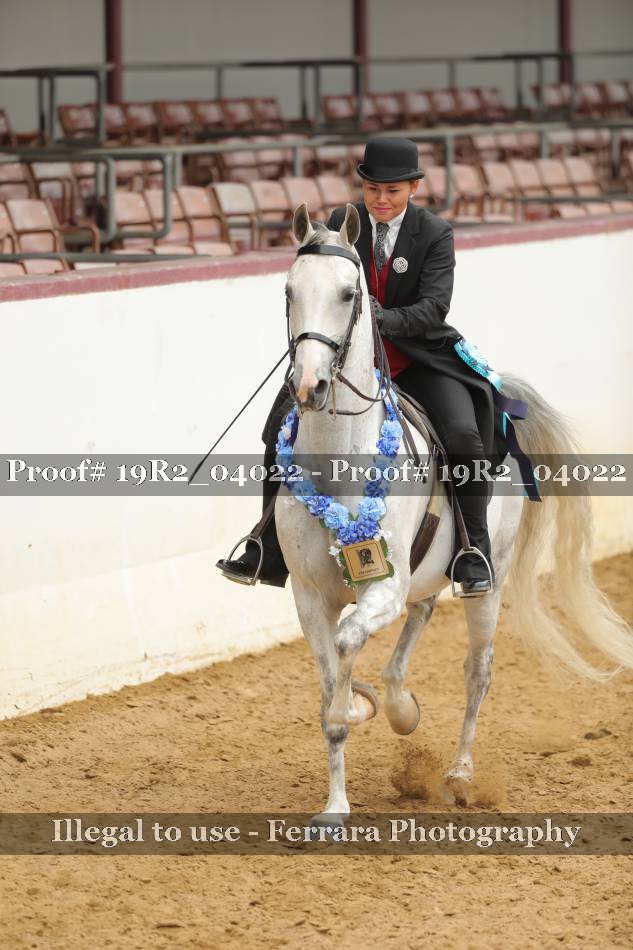 Proof 19R2_04022