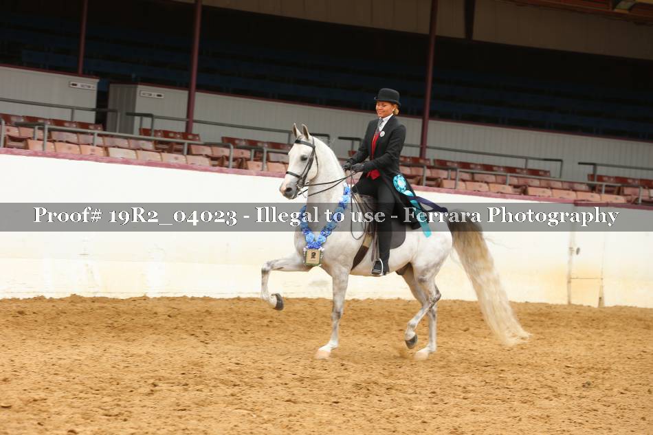 Proof 19R2_04023